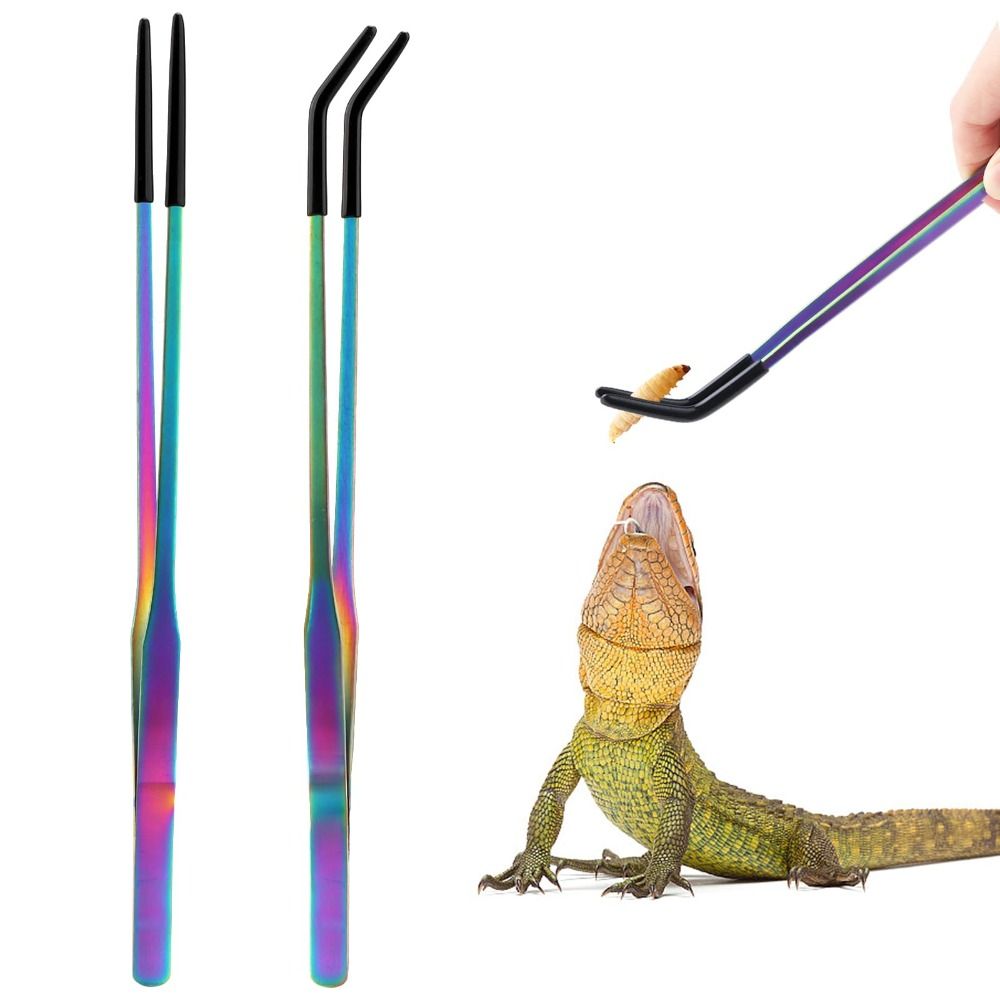 2PCS Stainless Steel Reptile F - đánh giá và giá Feeding Tong Stainless