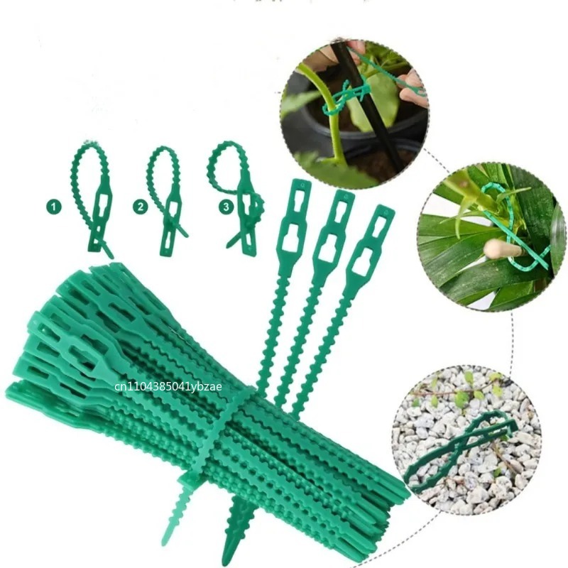 50-1000pcs Adjustable Plastic  - đánh giá và giá Vine Climbing Plastic