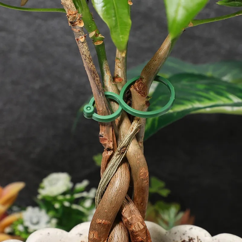 50-400Pcs Plant Support Clips  - đánh giá và giá Vine Climbing Plastic
