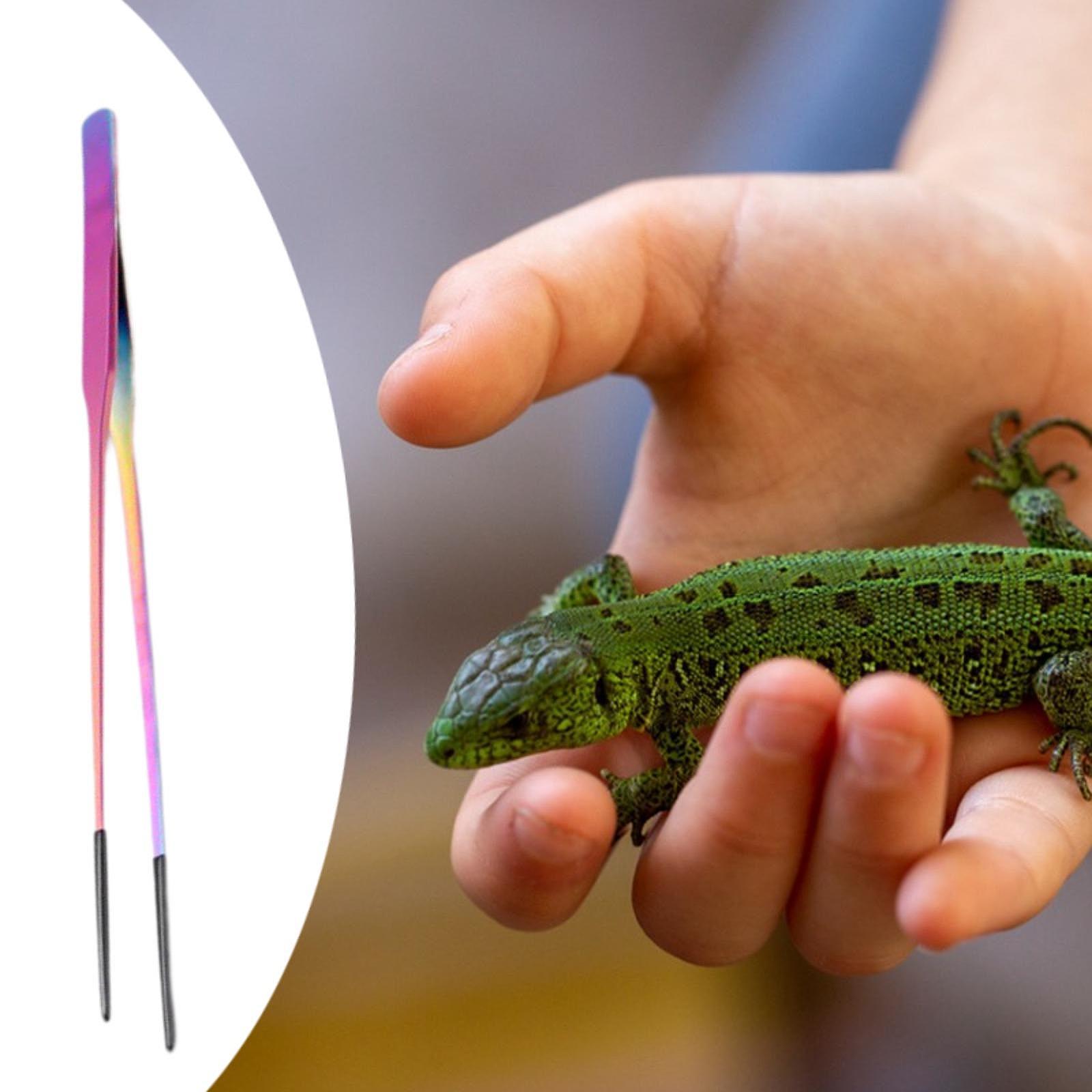 Aquarium Tweezers Reptile Feed - đánh giá và giá Feeding Tong Stainless