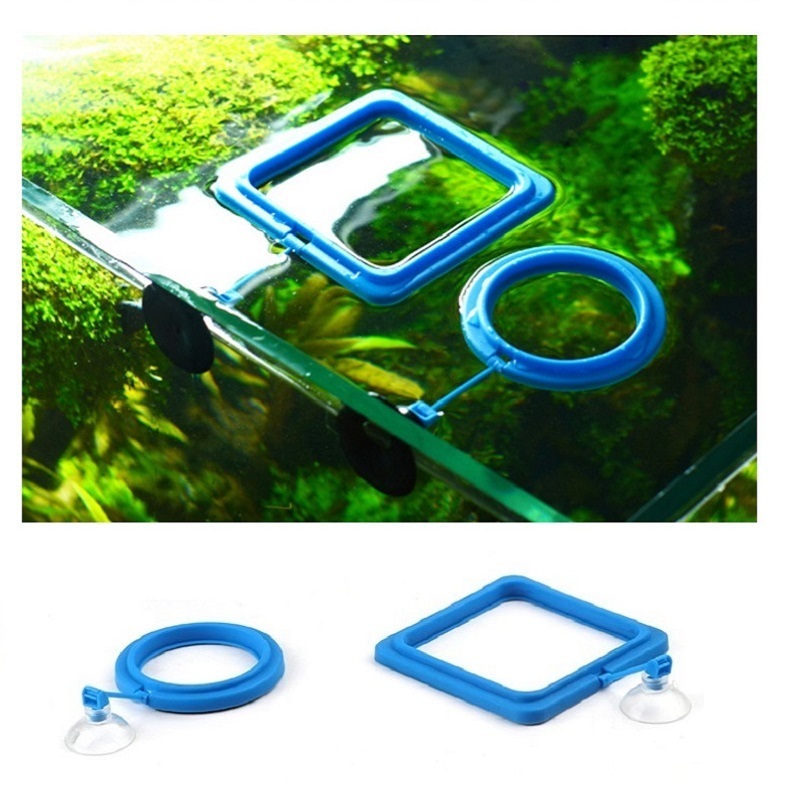 Fish Feeding Ring Feeder Fishi - đánh giá và giá Tetra Food Tropical Flakes