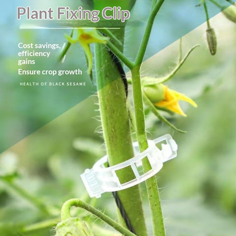 Plastic Plant Support Clips Re - đánh giá và giá Vine Climbing Plastic