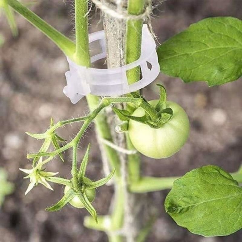 Plastic Plant Support Clips Re - đánh giá và giá Vine Climbing Plastic
