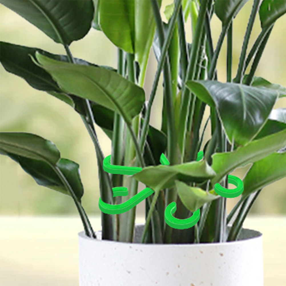 12Pcs Plant Support Clips for  - đánh giá và giá Vine Climbing Plastic